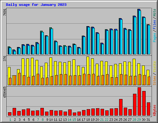 Daily usage for January 2023