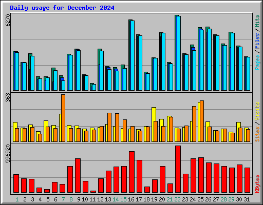 Daily usage for December 2024