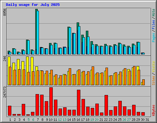 Daily usage for July 2025