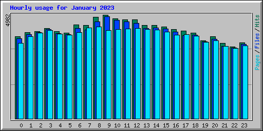 Hourly usage for January 2023