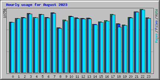 Hourly usage for August 2023