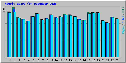 Hourly usage for December 2023