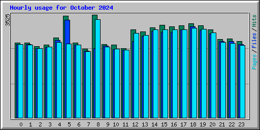 Hourly usage for October 2024