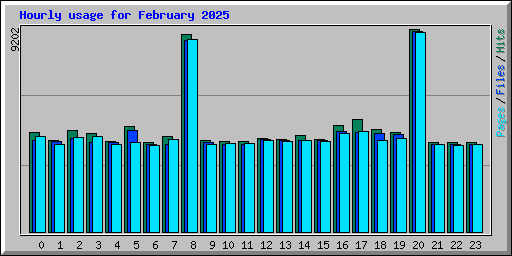 Hourly usage for February 2025
