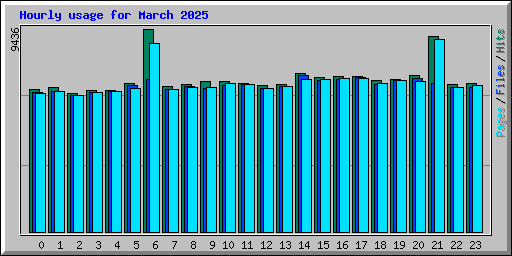 Hourly usage for March 2025