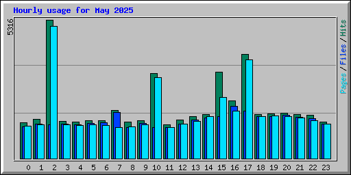 Hourly usage for May 2025