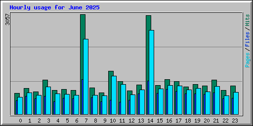 Hourly usage for June 2025