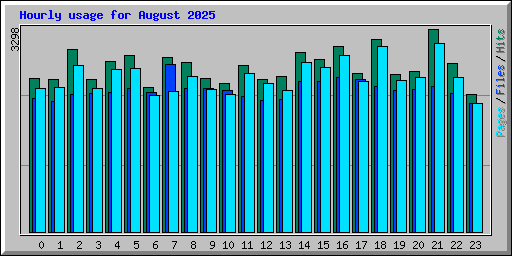 Hourly usage for August 2025