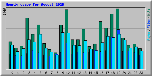 Hourly usage for August 2026